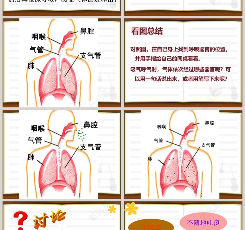 我们在呼吸教学ppt课件第2张