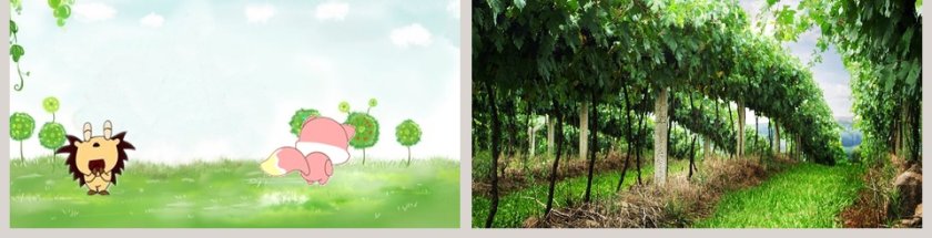 小刺猬保卫葡萄园故事PPT第3张