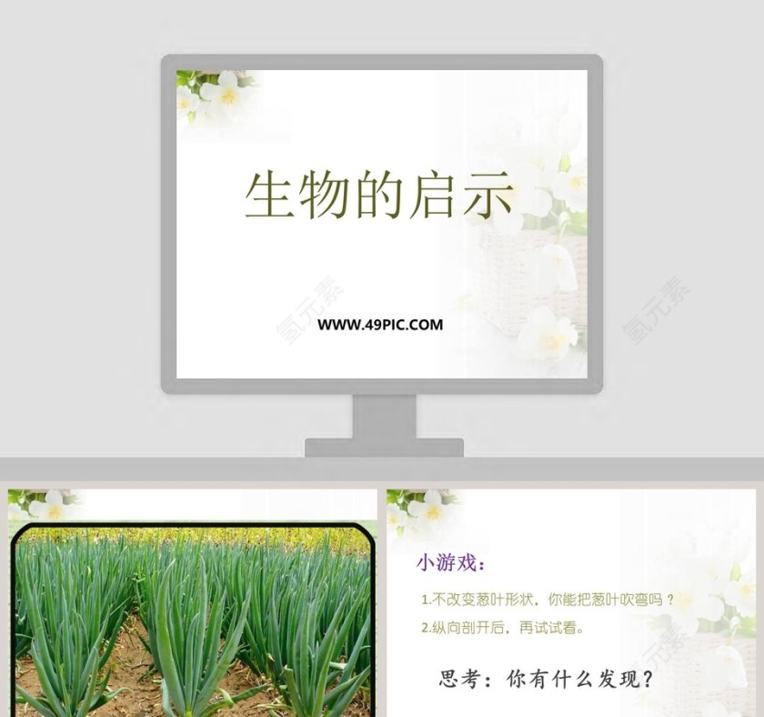 生物启示在政务党建PPT模板中的应用第1张
