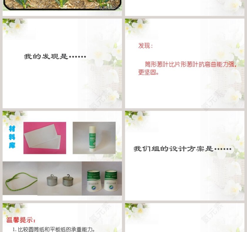 生物启示在政务党建PPT模板中的应用第2张