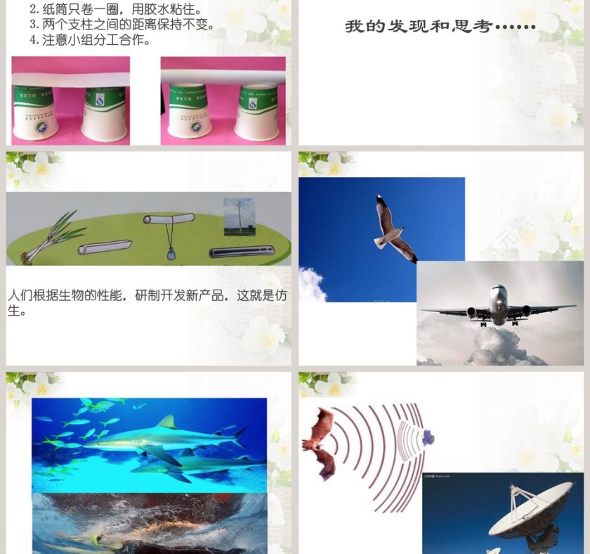 生物启示在政务党建PPT模板中的应用第3张