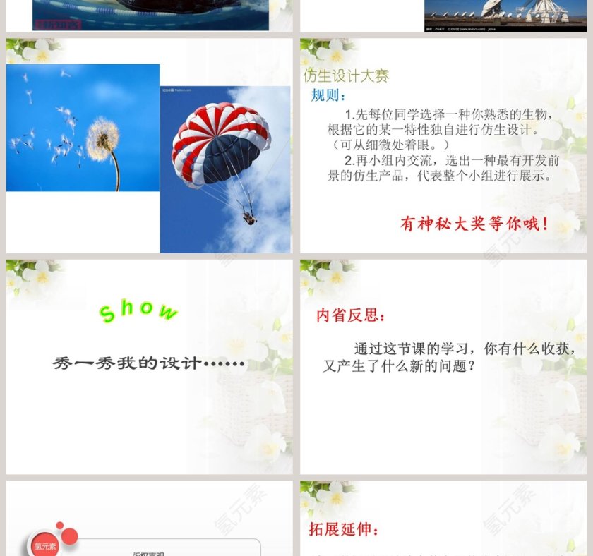 生物启示在政务党建PPT模板中的应用第4张