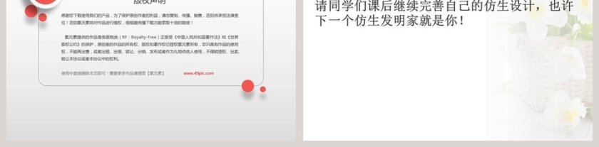 生物启示在政务党建PPT模板中的应用第5张