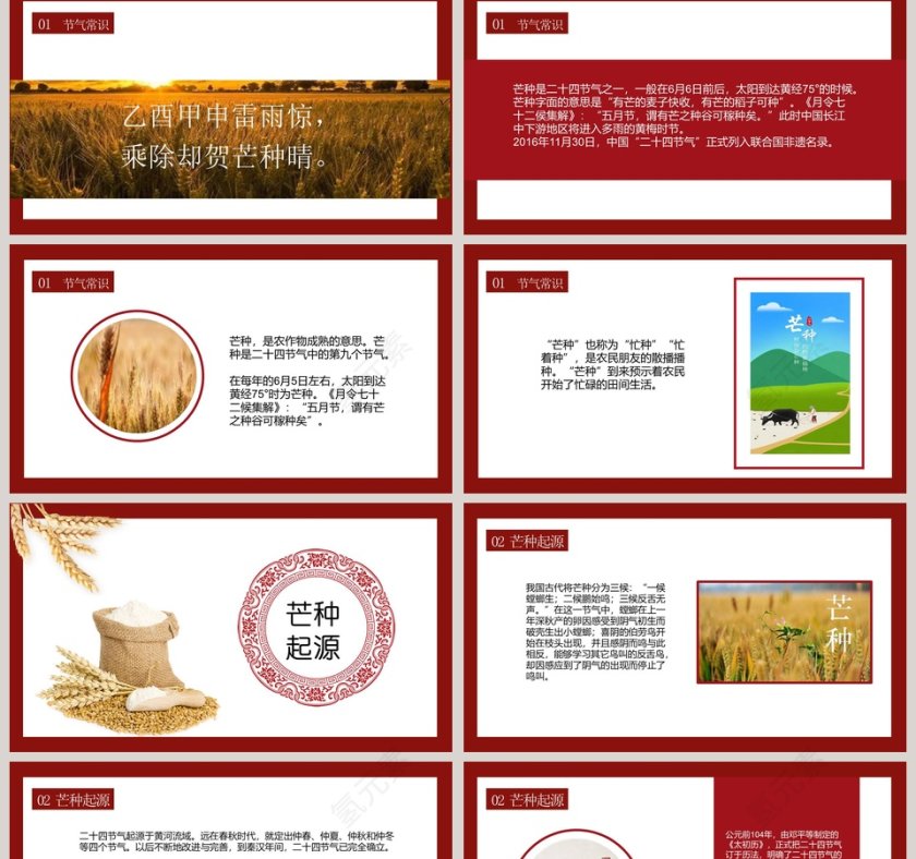 二十四节气民俗介绍芒种PPT模板第2张