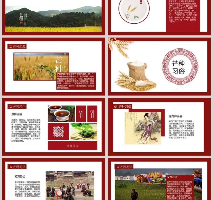 二十四节气民俗介绍芒种PPT模板第3张