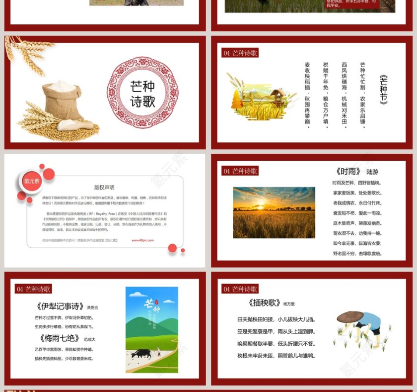 二十四节气民俗介绍芒种PPT模板第4张