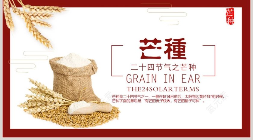 二十四节气民俗介绍芒种PPT模板第5张