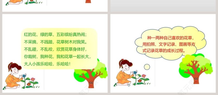 花儿草儿真美丽-第教学ppt课件第4张