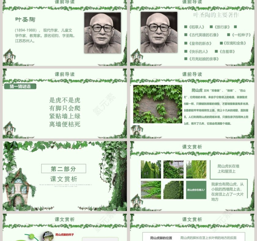 四年级语文课件《爬山虎的脚》PPT第2张