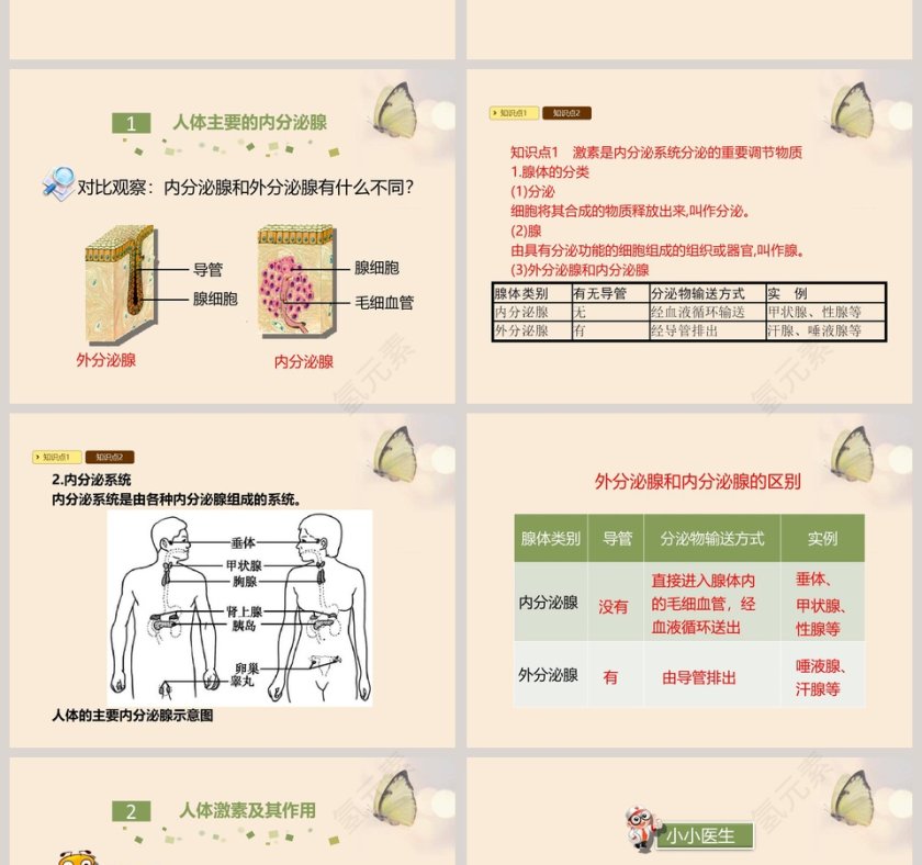 第-3教学ppt课件第2张