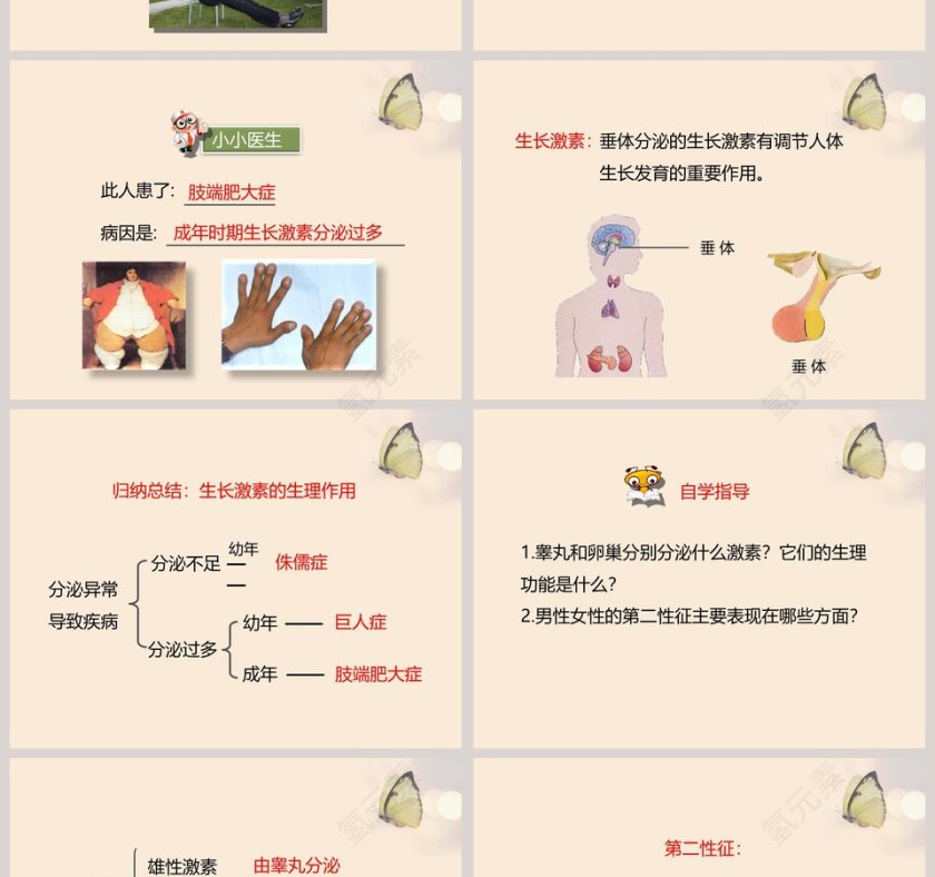 第-3教学ppt课件第4张