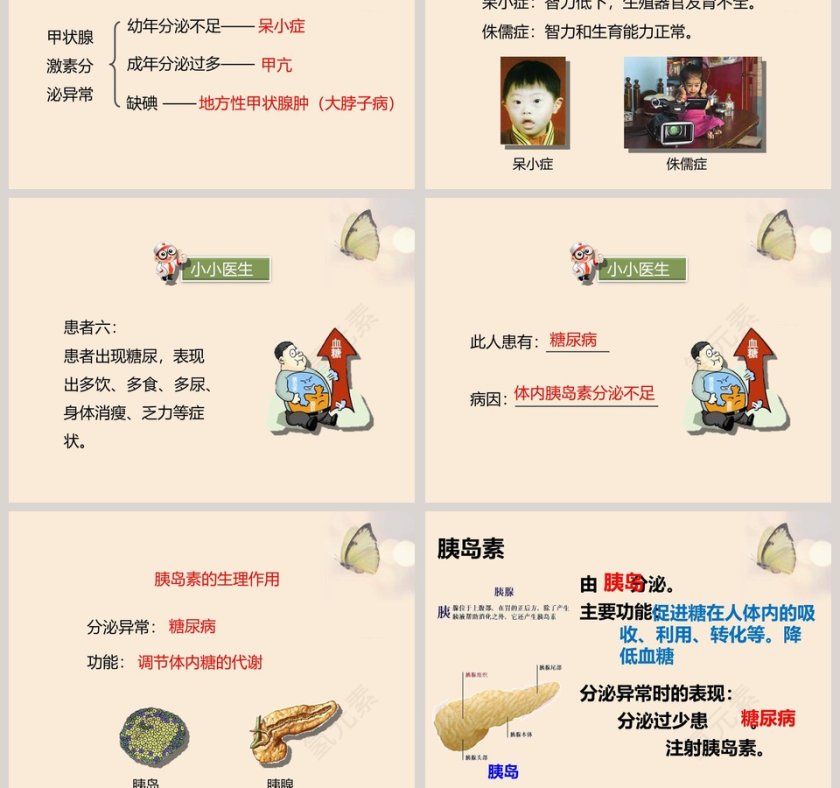 第-3教学ppt课件第7张