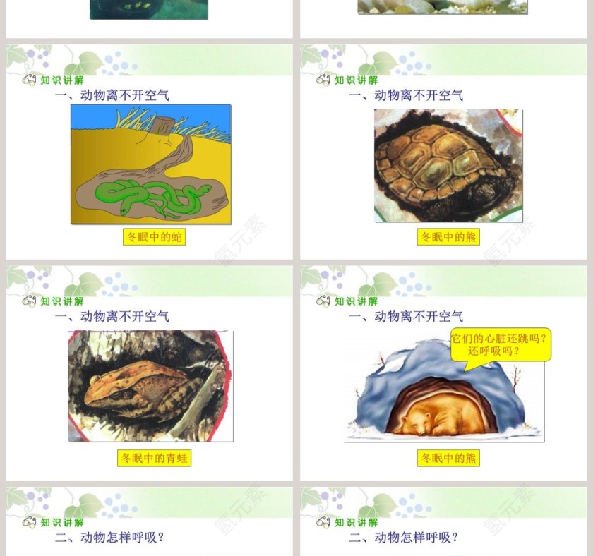 人教新课标三年级科学上册第四单元-离不开的空气教学ppt课件第2张