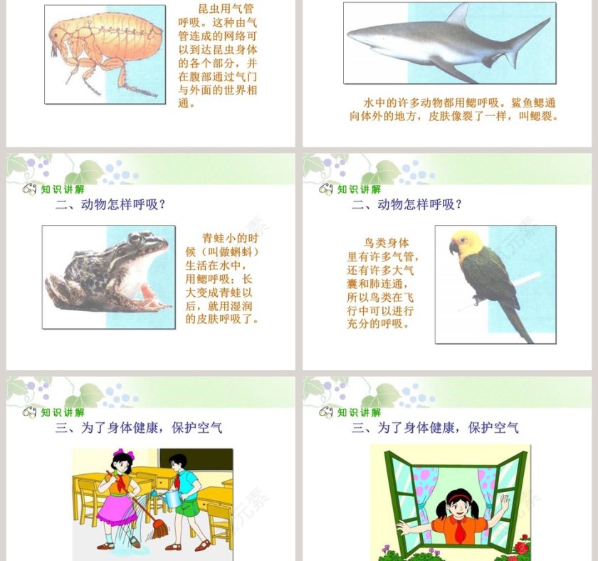人教新课标三年级科学上册第四单元-离不开的空气教学ppt课件第3张