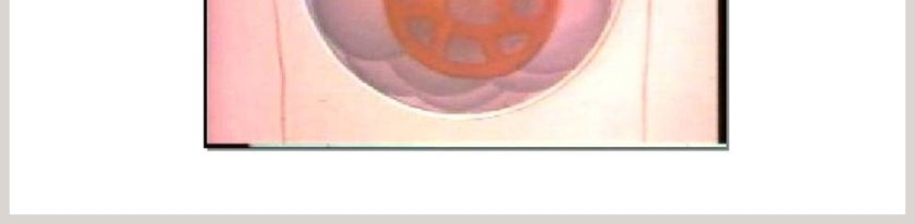 人教新课标三年级科学上册第四单元-离不开的空气教学ppt课件第5张