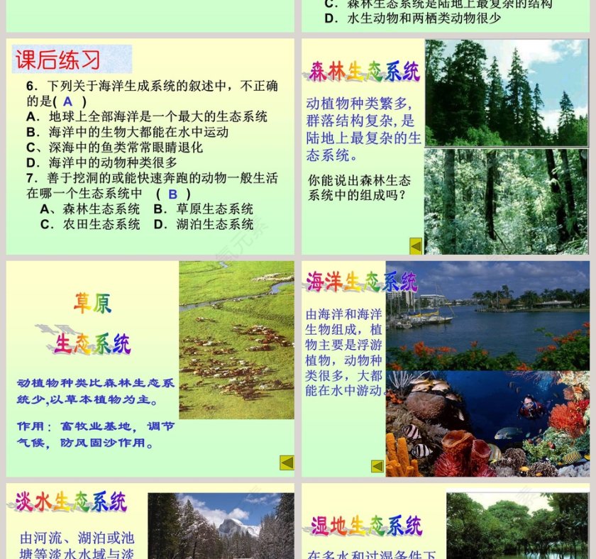 第-4教学ppt课件第4张