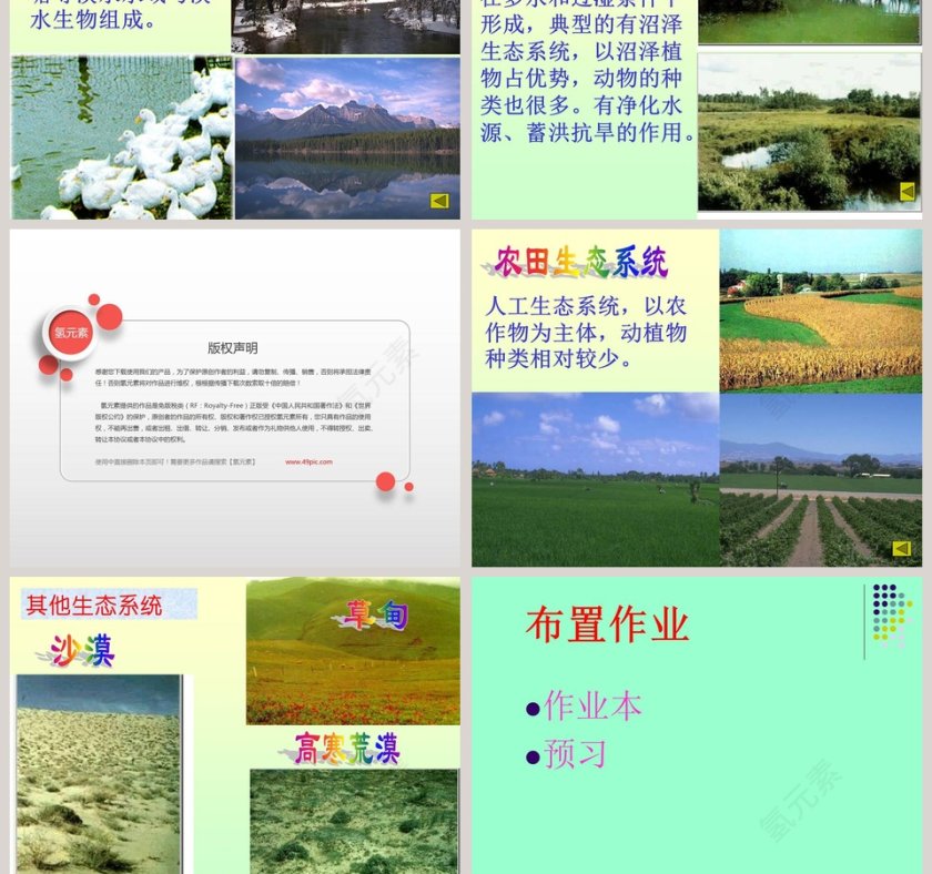 第-4教学ppt课件第5张