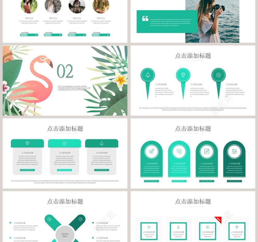 火烈鸟主题PPT第3张