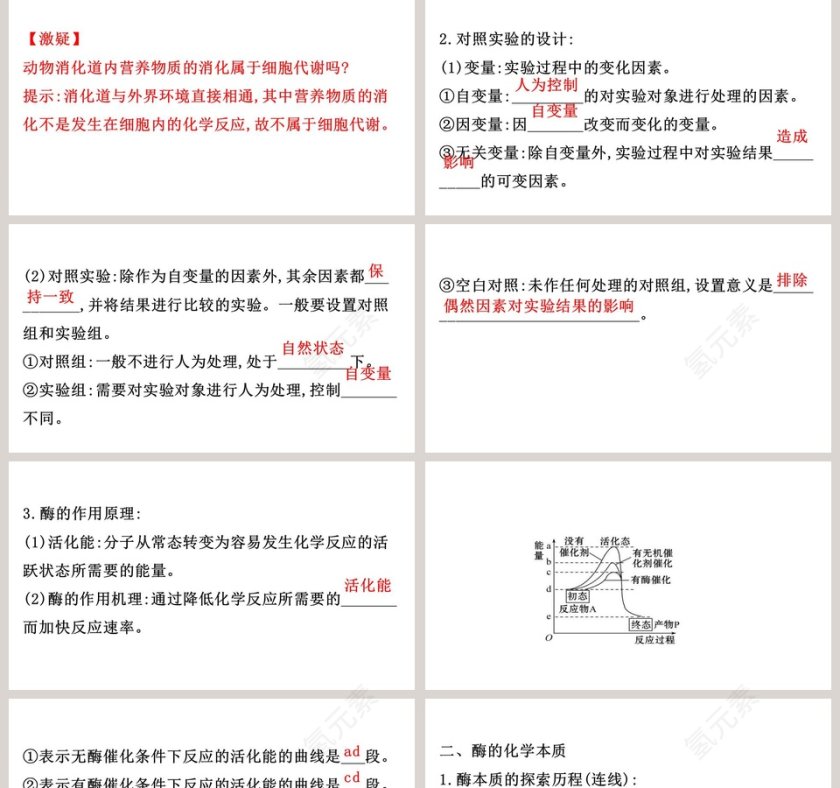 第5章细胞的能量供应和利用 PPT模板第2张