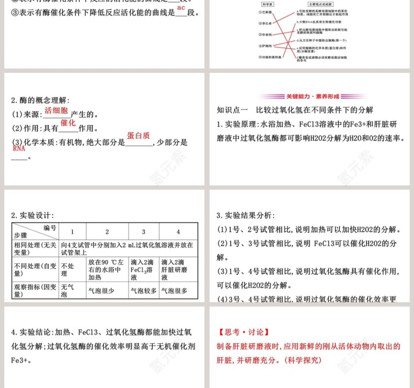 第5章细胞的能量供应和利用 PPT模板第3张