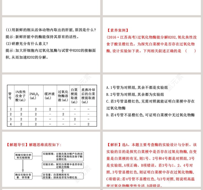 第5章细胞的能量供应和利用 PPT模板第4张