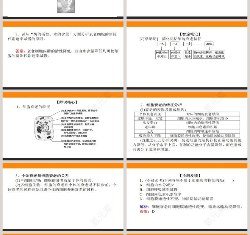 第-3教学ppt课件第4张