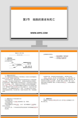 第-3教学ppt课件