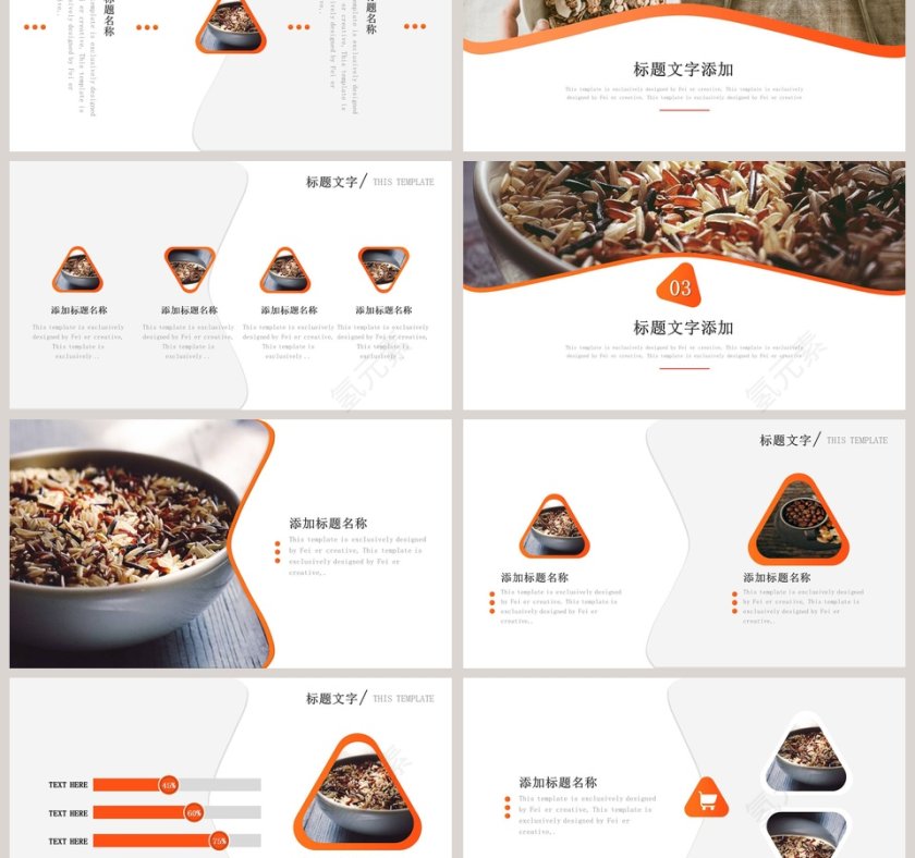 简约大风格产品介绍PPT模板 第3张