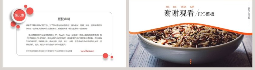 简约大风格产品介绍PPT模板 第5张