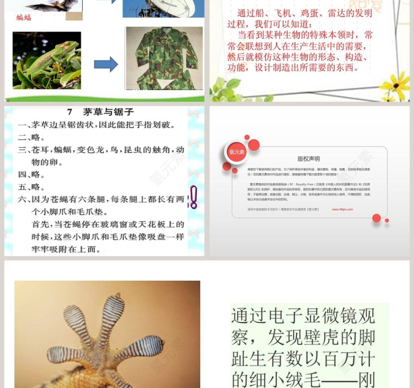 五年级科学上册PPT模板大全第3张