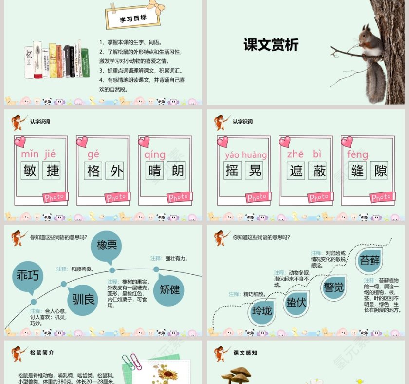 课文解析部编版松鼠语文课件PPT第2张