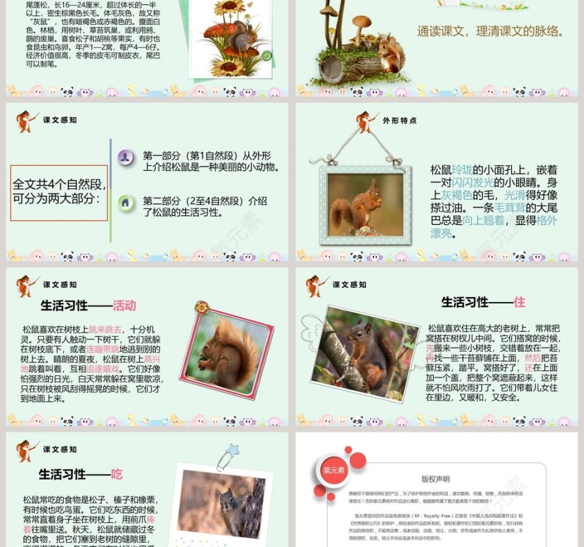 课文解析部编版松鼠语文课件PPT第3张