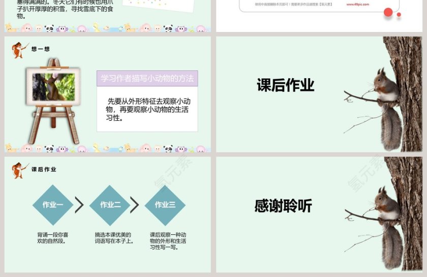 课文解析部编版松鼠语文课件PPT第4张