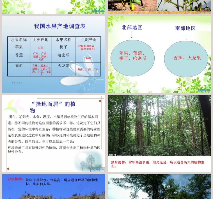 从南橘北枳说起教学ppt课件第2张