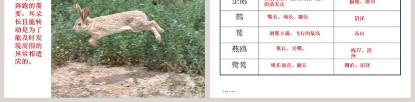 从南橘北枳说起教学ppt课件第5张