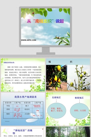 从南橘北枳说起教学ppt课件