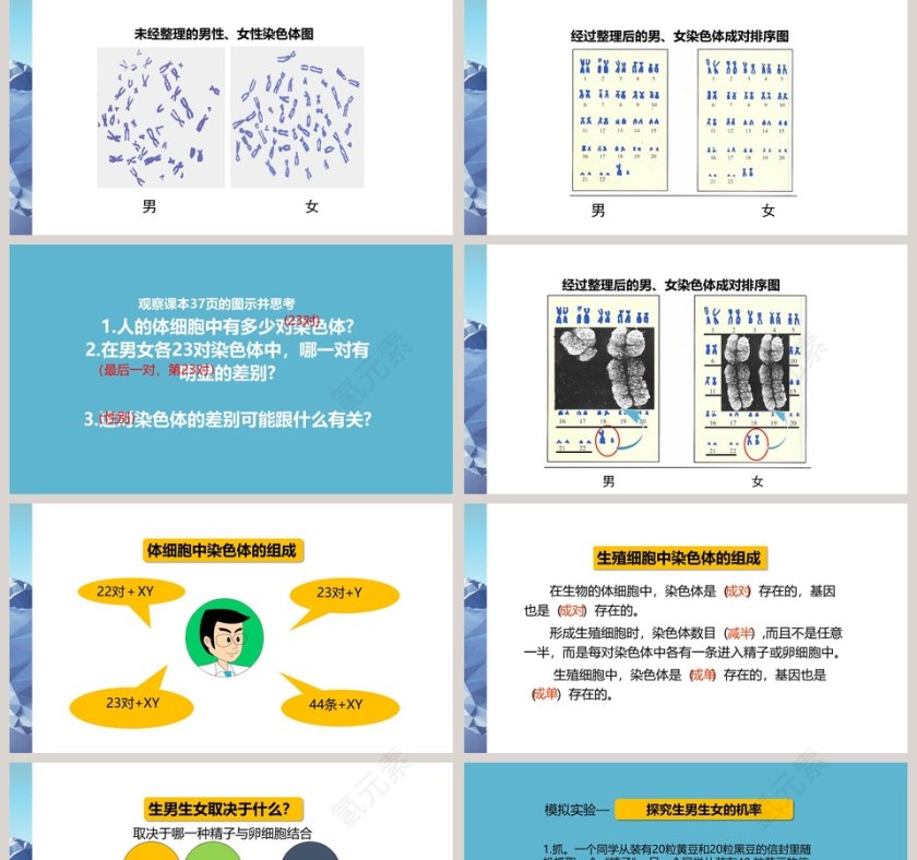 Protect Our Environment教学ppt课件第2张