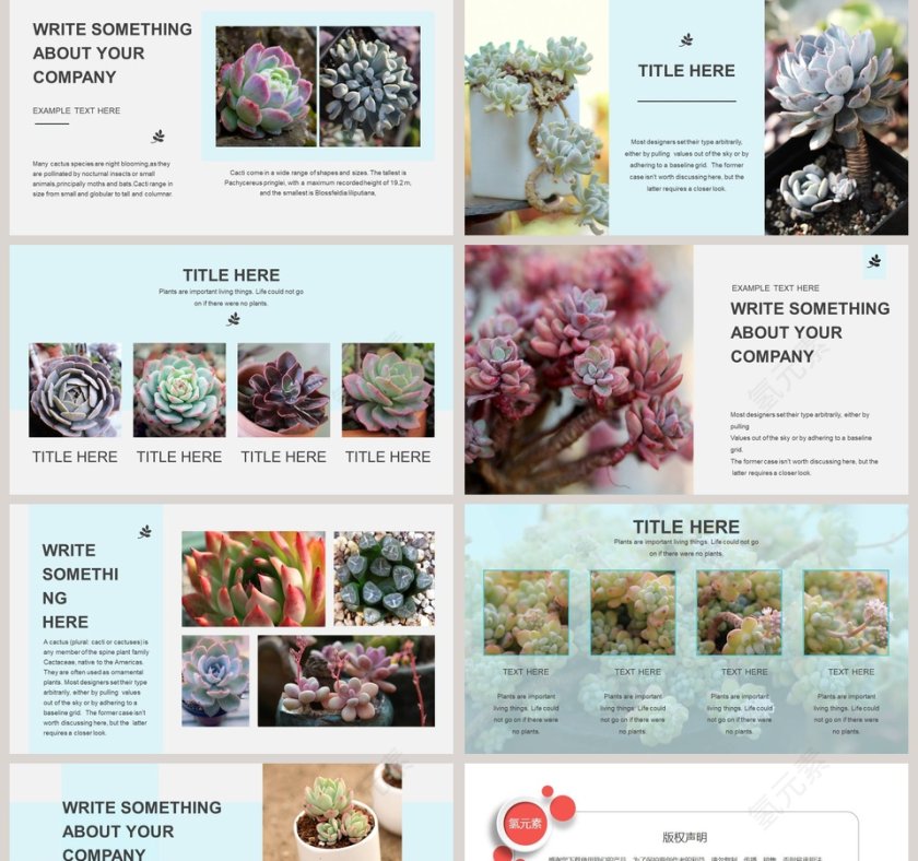 清新多肉PPT第2张