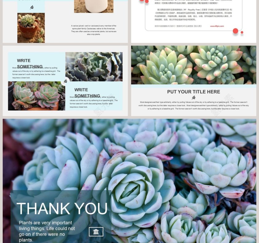 清新多肉PPT第3张
