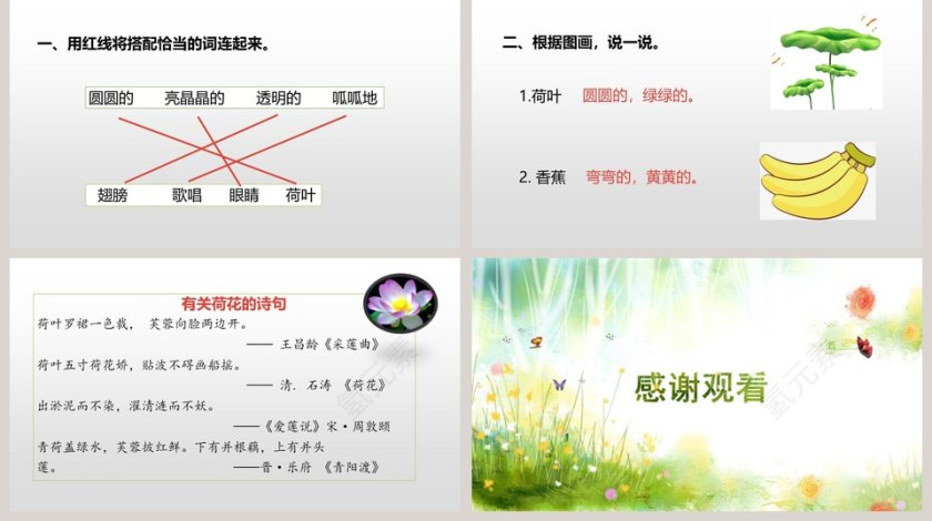人教部编版一年级语文下册荷叶圆圆语文课件PPT第5张