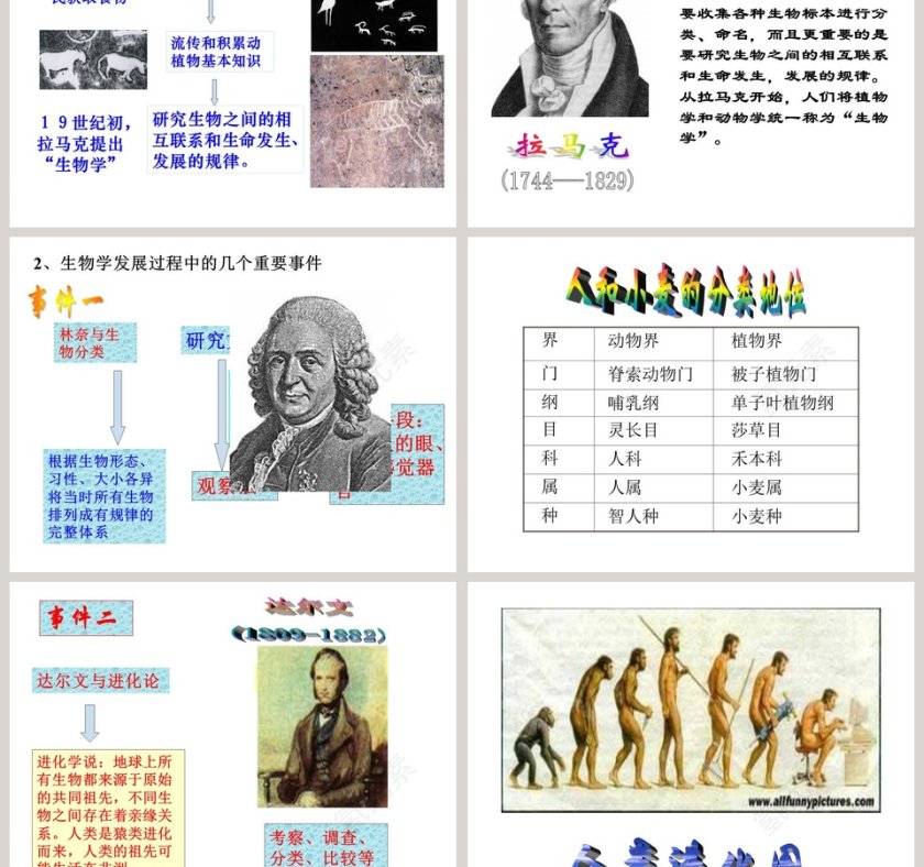 生物学是探究生命的科学教学ppt课件第3张