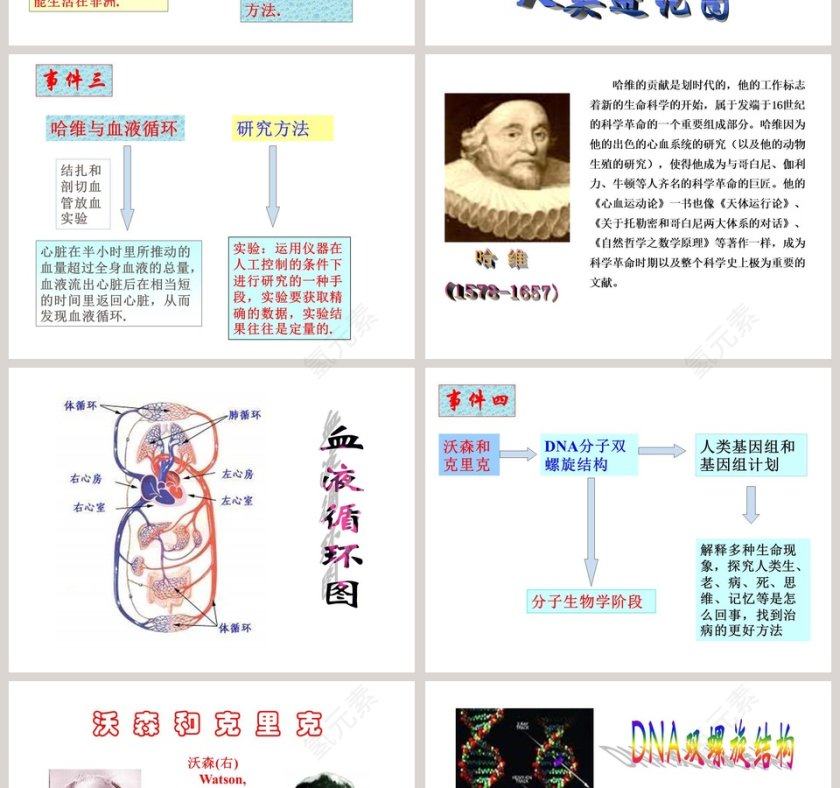 生物学是探究生命的科学教学ppt课件第4张
