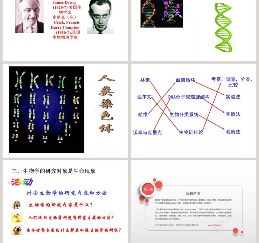 生物学是探究生命的科学教学ppt课件第5张