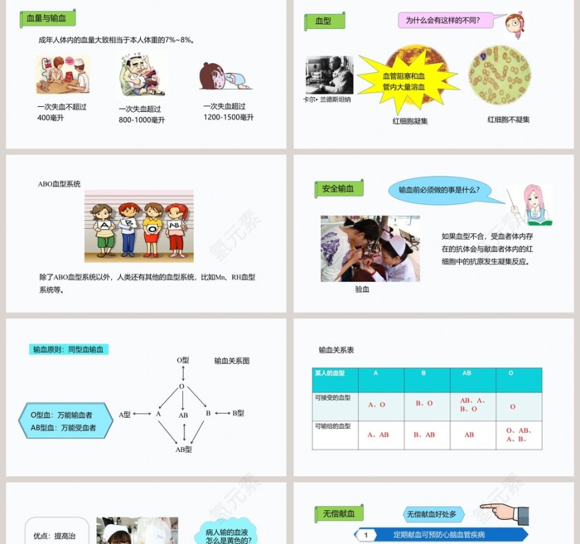 第四节  输血与血型-第四章   人体内物质的运输教学ppt课件第2张