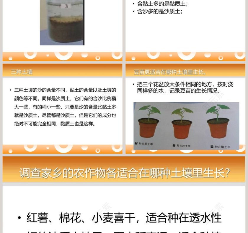 农作物与土壤教学ppt课件第3张