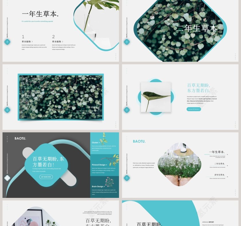 森系植物纪ppt第2张