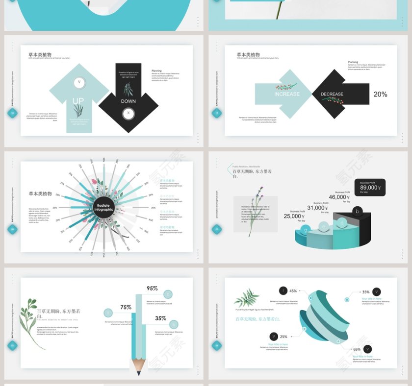 森系植物纪ppt第4张