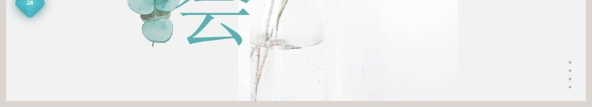 森系植物纪ppt第6张