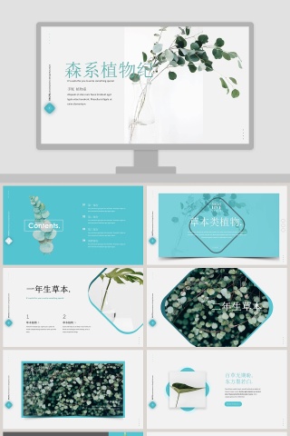 森系植物纪ppt
