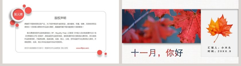 十一月的枫叶你好第5张